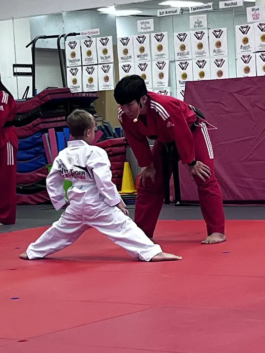 Lee's White Tiger Picture 9