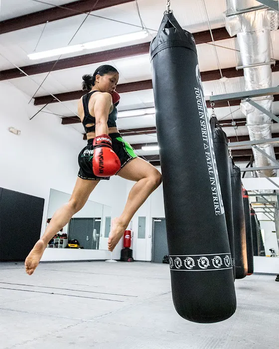 Nine Limbs Strikers Picture 3