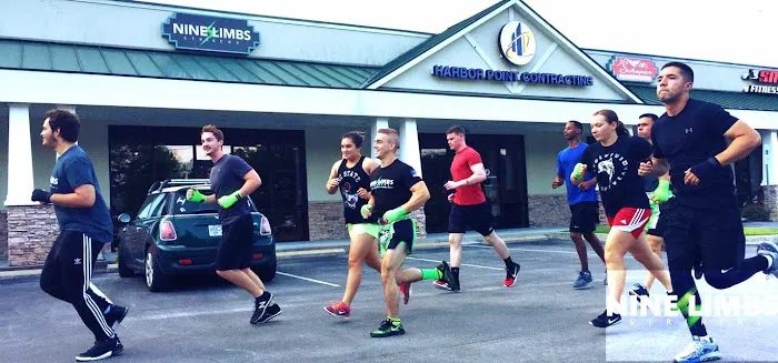 Nine Limbs Strikers Picture 4