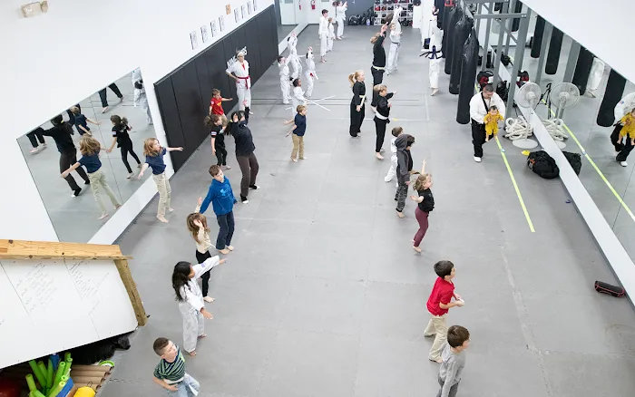 Nine Limbs Strikers Picture 9