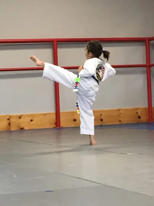 Greensboro Taekwondo America Picture 5
