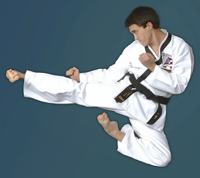 Greensboro Taekwondo America Picture 9