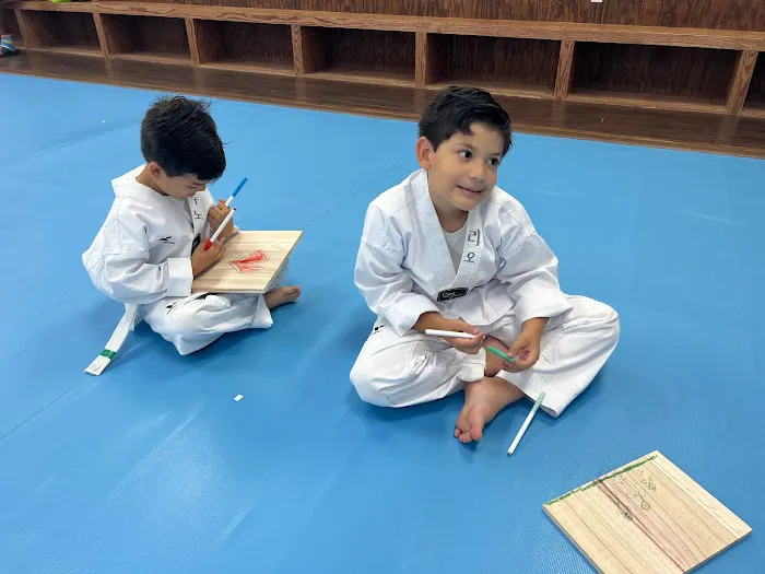 Tiger Kim's World Class Tae Kwon Do Centers Picture 9