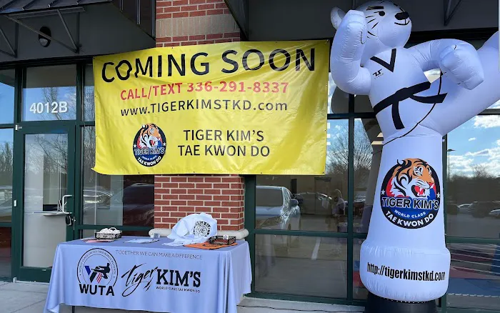 Tiger Kim's World Class Tae Kwon Do Picture 7