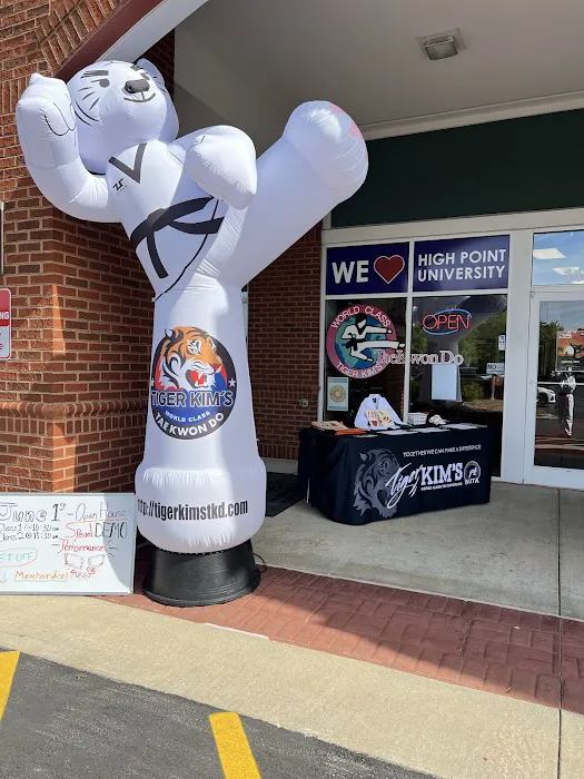 Tiger Kim's World Class Tae Kwon Do Picture 8