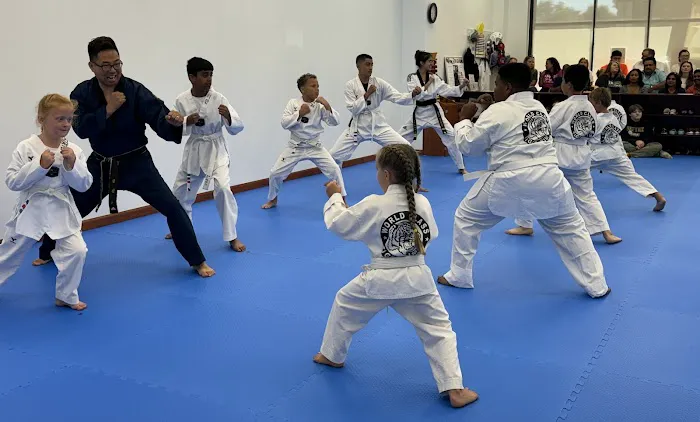 Tiger Kim's World Class Tae Kwon Do Picture 10