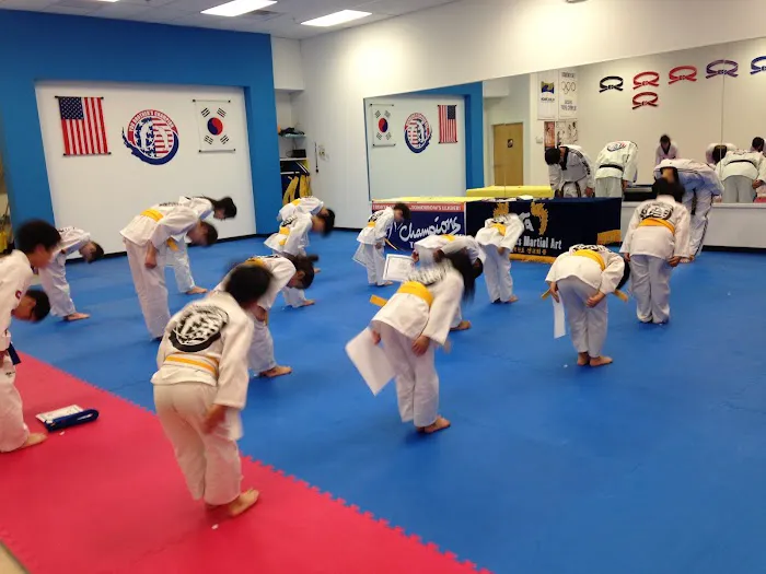 YB Champions Taekwondo Academy Picture 7