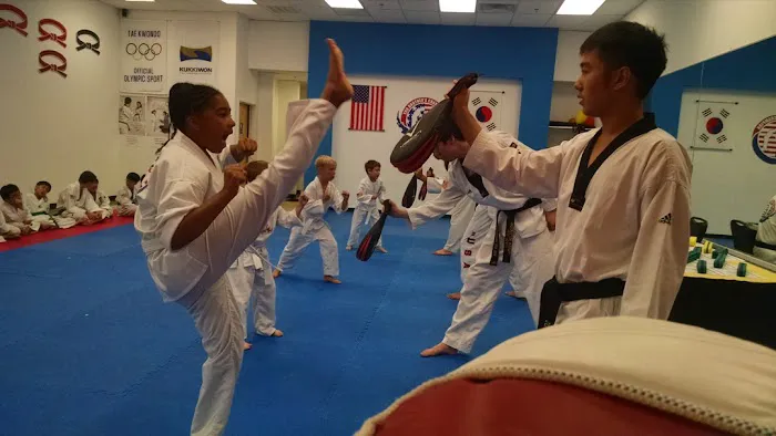 YB Champions Taekwondo Academy Picture 8