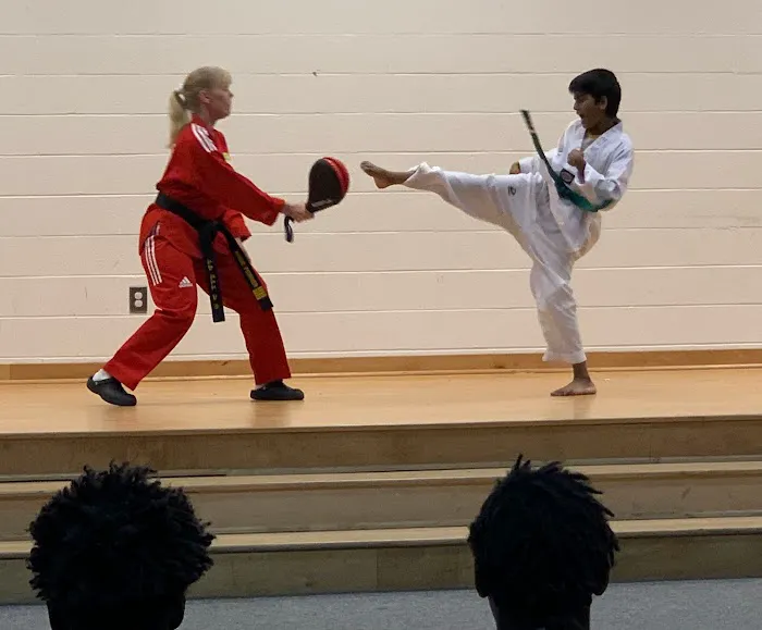 Tiger Kim's World Class Tae Kwon Do Centers Picture 1