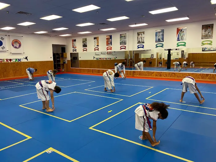 Tiger Kim's World Class Tae Kwon Do Centers Picture 3
