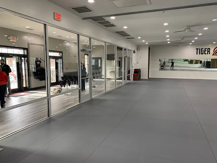 Tiger Rock Martial Arts of High Point Picture 10