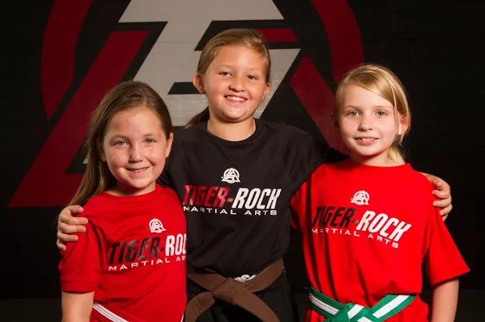 Tiger Rock Martial Arts of High Point Picture 9