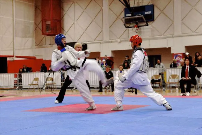 Pure Taekwondo Center Picture 1