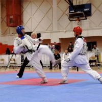 Pure Taekwondo Center ico