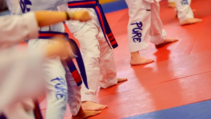 Pure Taekwondo Center Picture 10