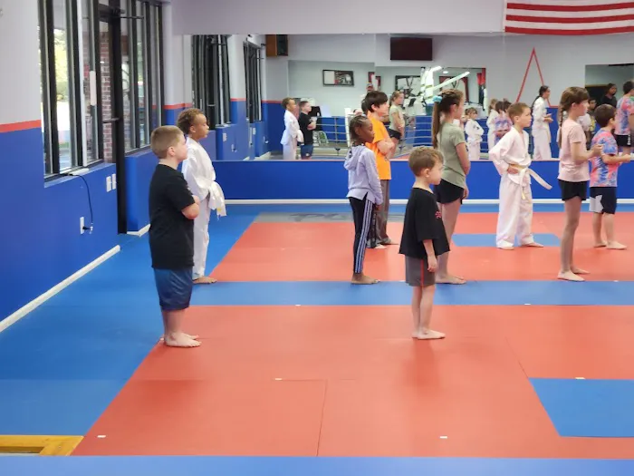 Pure Taekwondo Center Picture 8