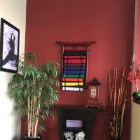 Carolina Dojo Championship Martial Arts ico