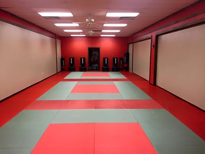 Carolina Dojo Championship Martial Arts Picture 7