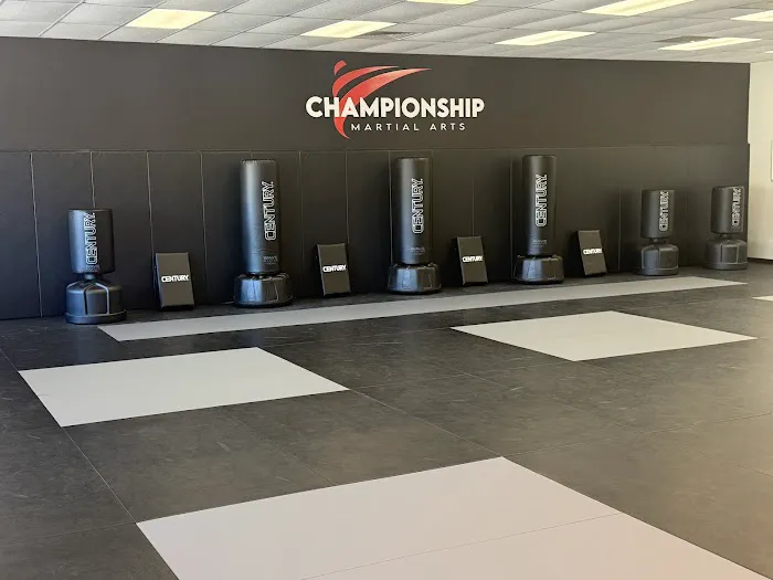 Carolina Dojo Championship Martial Arts Picture 6