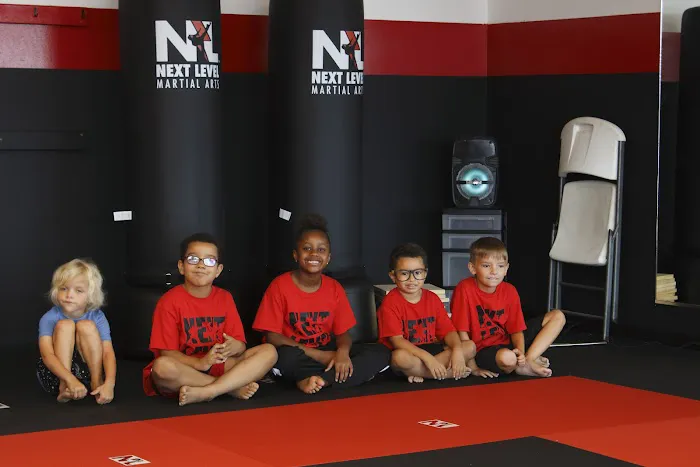 Next Level Martial Arts Picture 1