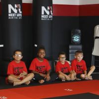 Next Level Martial Arts ico