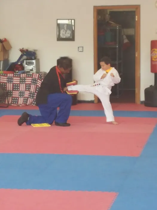 Allen's Defensive Combat Systems Picture 5