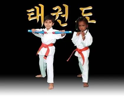 Allen's Defensive Combat Systems Picture 2