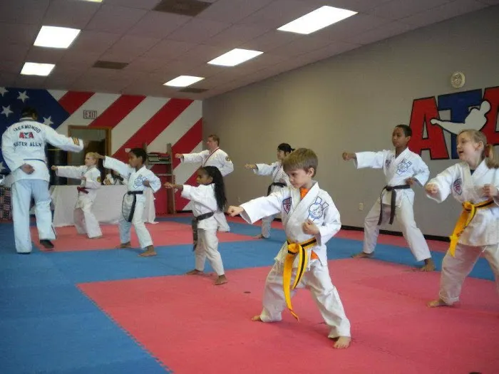 Allen's Defensive Combat Systems Picture 8