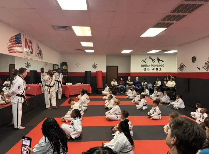 Next Level Martial Arts Picture 4