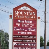 Harmon's Martial Arts LLC Phoenix Taekwon-do ico