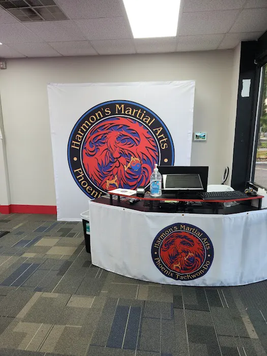 Harmon's Martial Arts LLC Phoenix Taekwon-do Picture 4