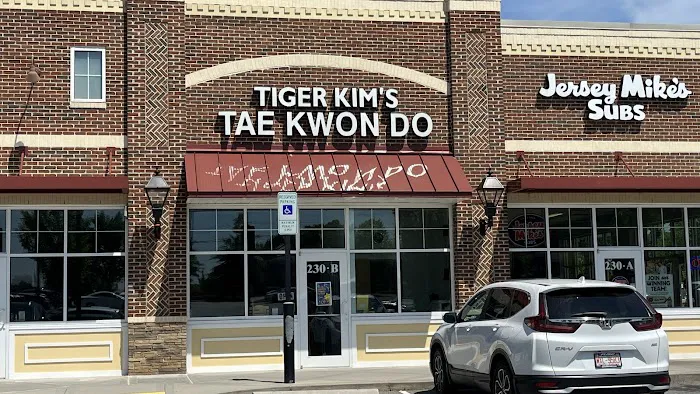 Tiger Kim's World Class Tae Kwon Do Centers Picture 2