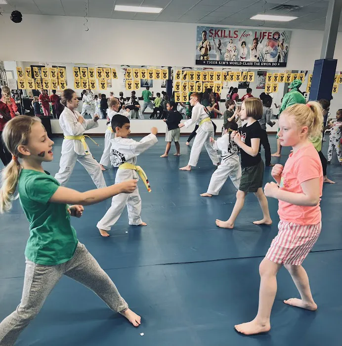 Tiger Kim's World Class Tae Kwon Do Centers Picture 5