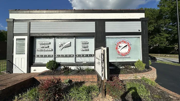 Triad Martial Arts Family Training Center Picture 2