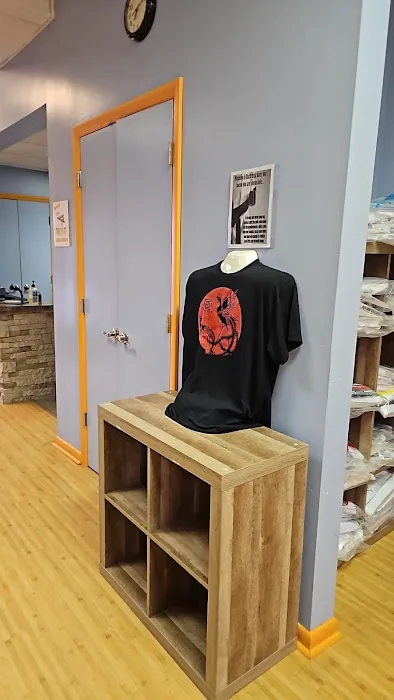 Triad Martial Arts Family Training Center Picture 1