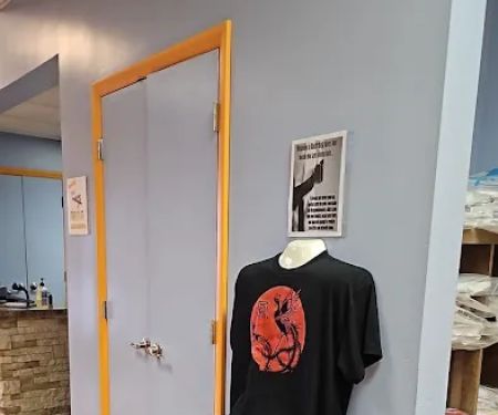 Triad Martial Arts Family Training Center