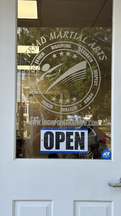 Triad Martial Arts Family Training Center Picture 6