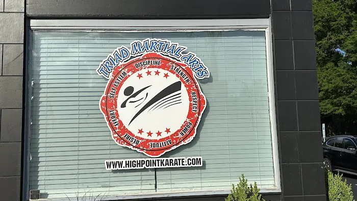 Triad Martial Arts Family Training Center Picture 7