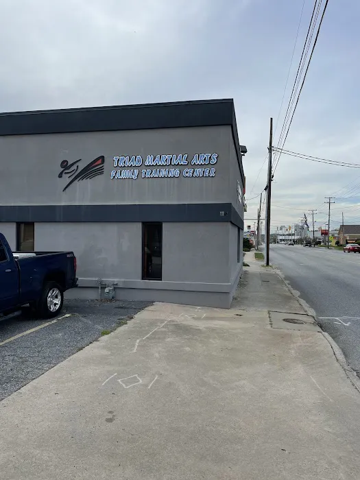 Triad Martial Arts Family Training Center Picture 8