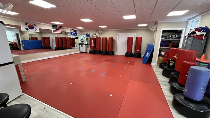 Triad Martial Arts Family Training Center Picture 4