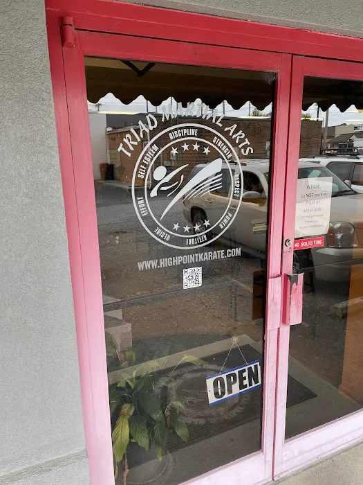 Triad Martial Arts Family Training Center Picture 9