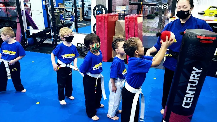 Awesome Martial Arts Picture 5