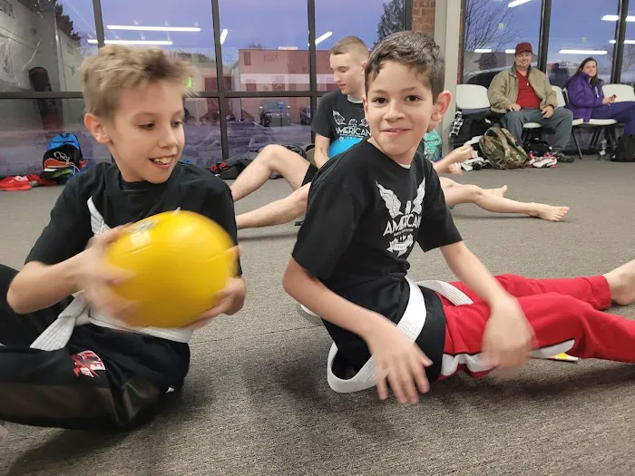 American Martial Arts Systems Picture 1