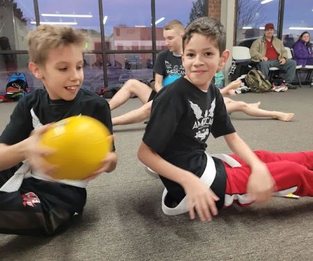 American Martial Arts Systems