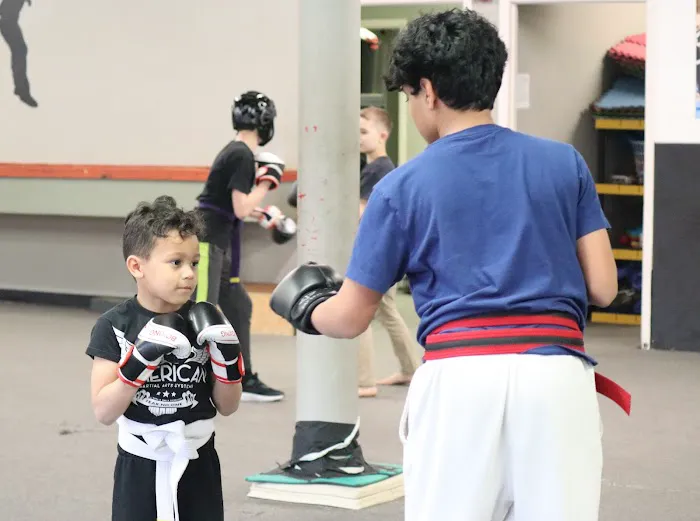 American Martial Arts Systems Picture 5