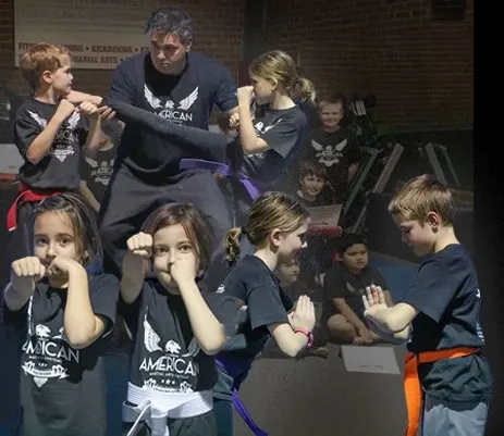 American Martial Arts Systems Picture 6