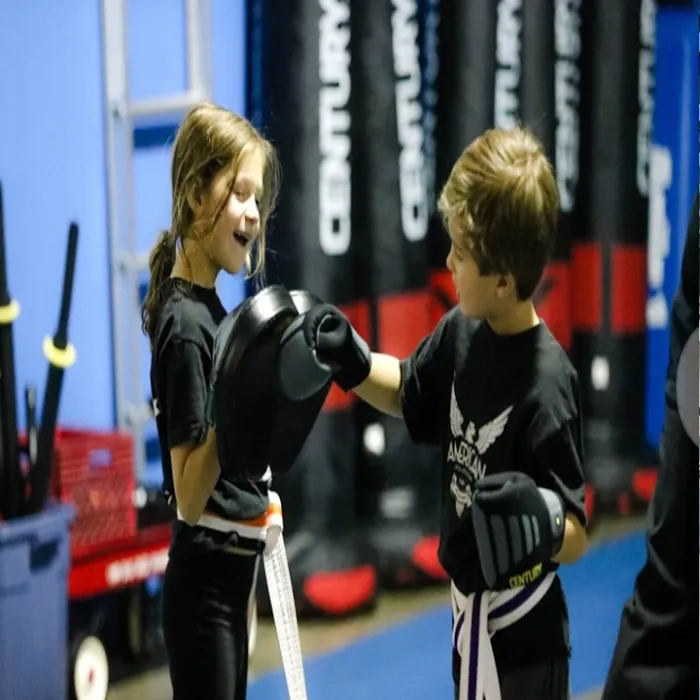 American Martial Arts Systems Picture 10