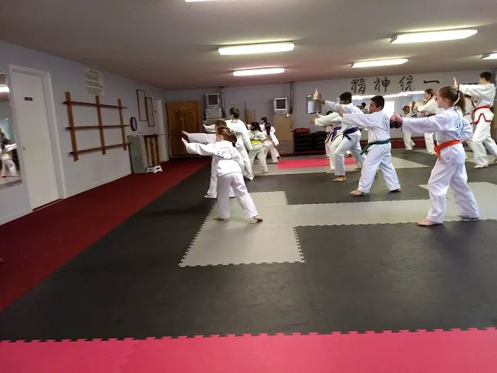 Young Yu Tae Kwon DO Karate Picture 2