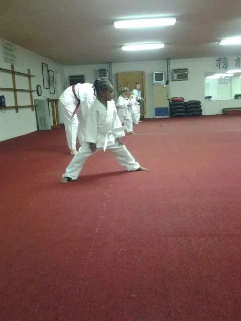 Young Yu Tae Kwon DO Karate Picture 1