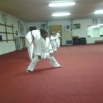 Young Yu Tae Kwon DO Karate